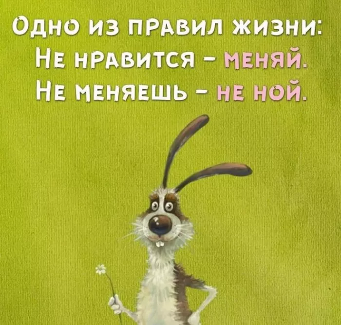 Картинки с Днем оптимиста. Позитивные картинки на День оптимиста: мотиваторы
