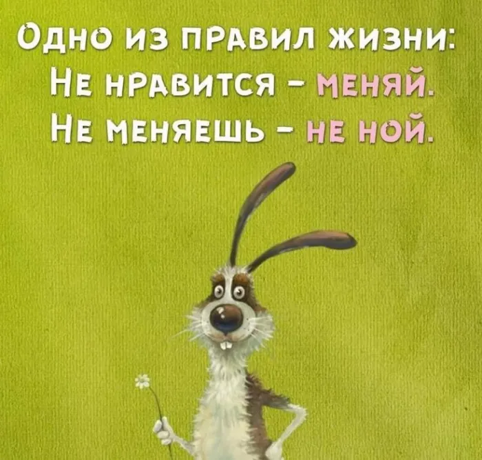 Картинки с Днем оптимиста. Позитивные картинки на День оптимиста: мотиваторы