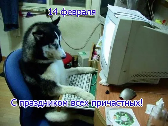 С Днем компьютерщика и программиста — прикольные картинки. Прикольные картинки на День компьютерщика и программиста