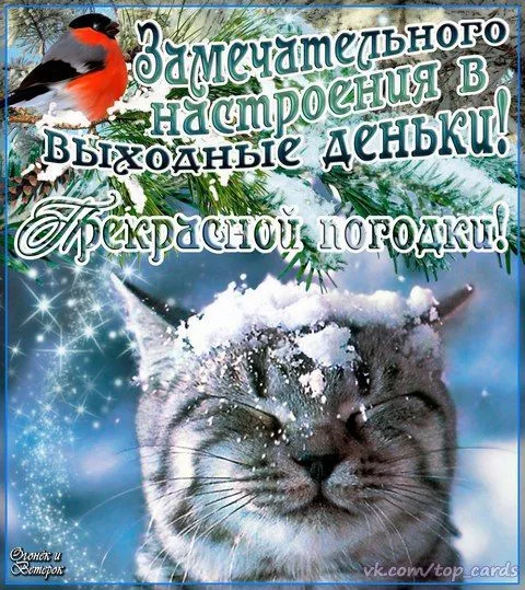 Картинки "Хороших выходных". Зимние картинки Хороших выходных