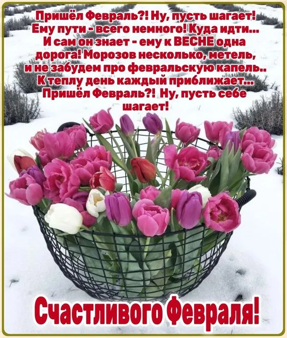 Картинки с последним месяцем зимы. Картинки С последним месяцем зимы: привет февраль