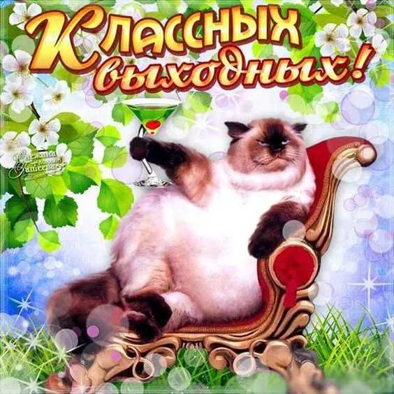 Картинки "Хороших выходных". Хороших выходных прикольные и смешные картинки