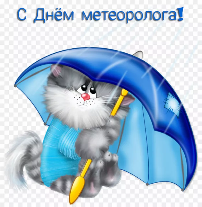 Картинки с Днем метеоролога. Красивые картинки с Днем метеоролога