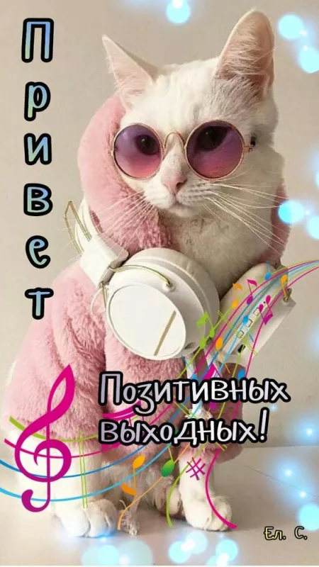 Картинки "Хороших выходных". Хороших выходных прикольные и смешные картинки
