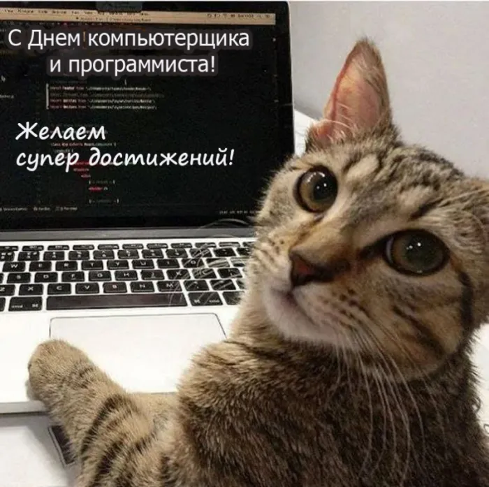 С Днем компьютерщика и программиста — прикольные картинки. Прикольные картинки на День компьютерщика и программиста