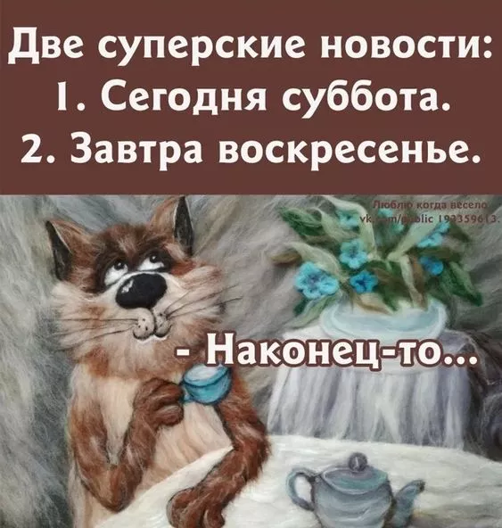 Картинки "Хороших выходных". Хороших выходных прикольные и смешные картинки