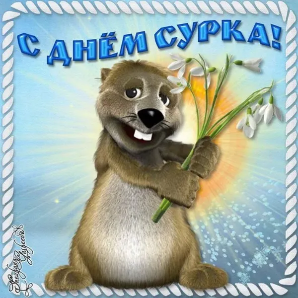 Картинки с Днем сурка. Картинки День сурка: прикольные и смешные