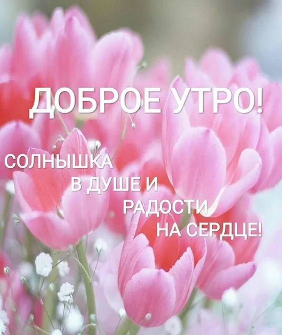 Красивые картинки С добрым весенним утром. С добрым весенним утром — красивые картинки