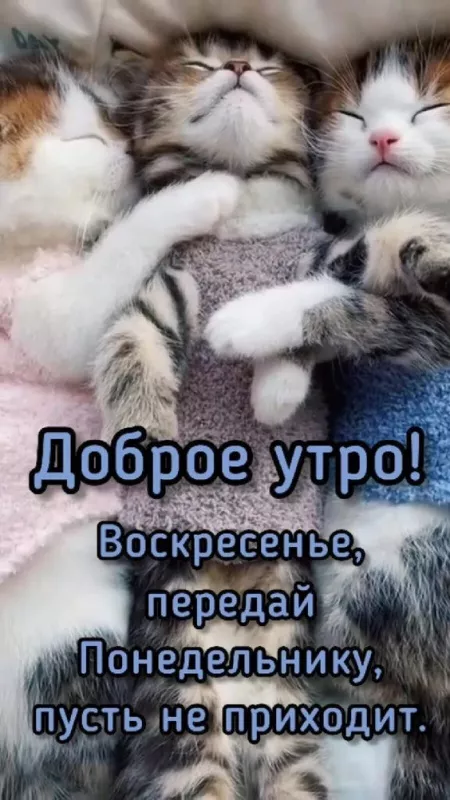 Красивые картинки с Добрым утром воскресенья. Доброе утро, воскресенье - картинки с пожеланиями