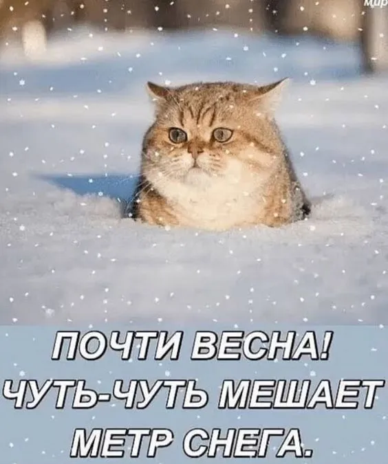 Картинки с Первым днем весны. Прикольные картинки с Первым днем весны