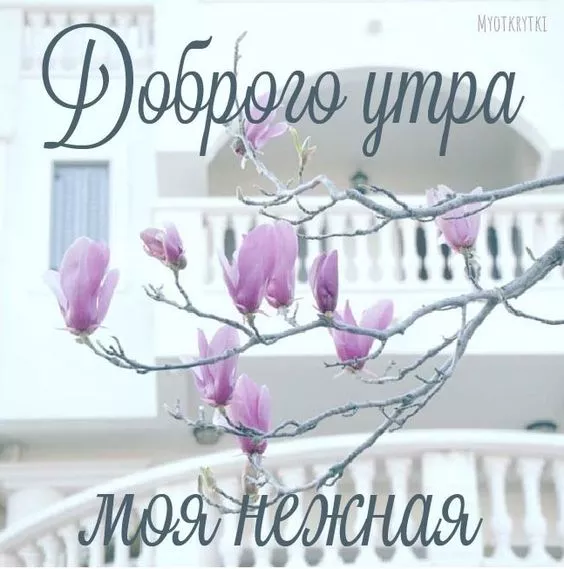 Красивые картинки с Днем нежности. Красивые картинки С Днем нежности с надписями