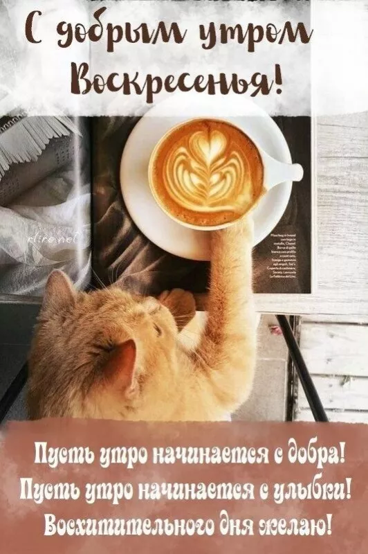 Красивые картинки с Добрым утром воскресенья. Красивые картинки Доброе утро воскресенья