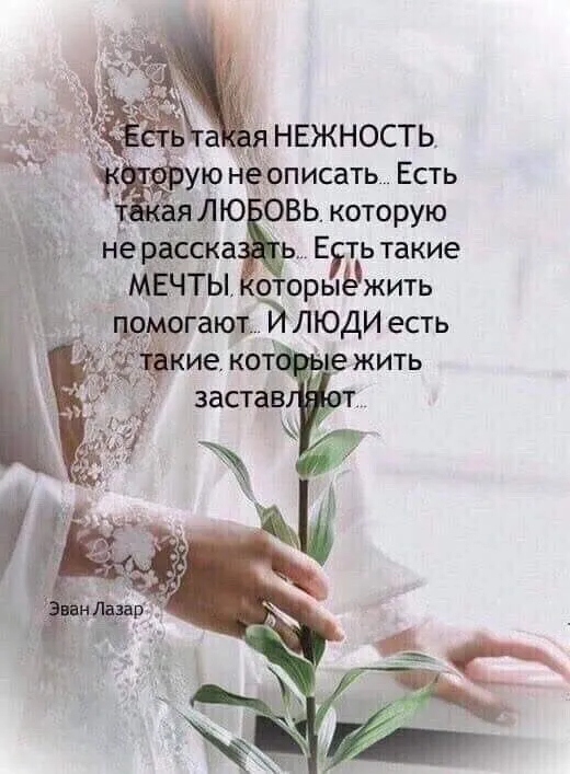 Красивые картинки с Днем нежности. День нежности - красивые картинки с пожеланиями