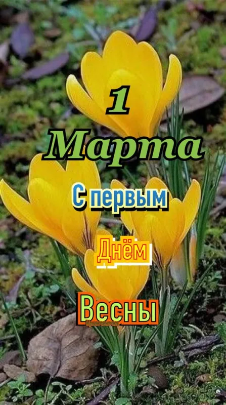Картинки с Первым днем весны. Красивые картинки С началом весны: 1 марта