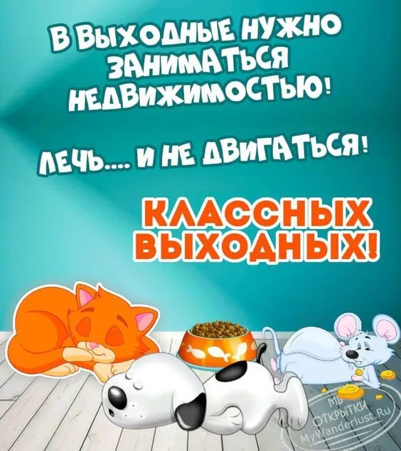 Картинки "Хороших выходных". Хороших выходных прикольные и смешные картинки