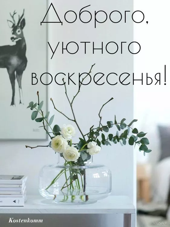 Красивые картинки с Добрым утром воскресенья. Красивые картинки Доброе утро воскресенья