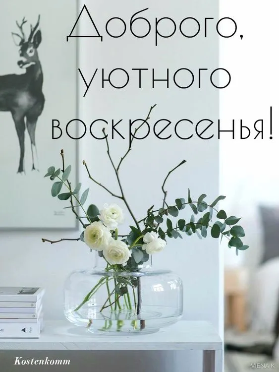 Красивые картинки с Добрым утром воскресенья. Красивые картинки Доброе утро воскресенья