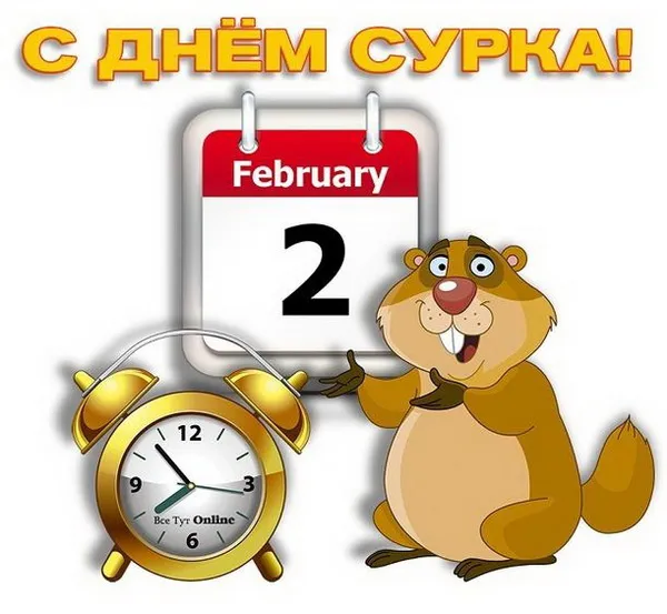 Картинки с Днем сурка. Картинки День сурка: прикольные и смешные