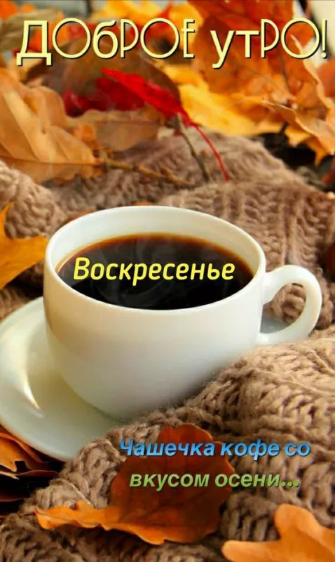 Красивые картинки с Добрым утром воскресенья. Доброе утро, воскресенье - картинки с пожеланиями