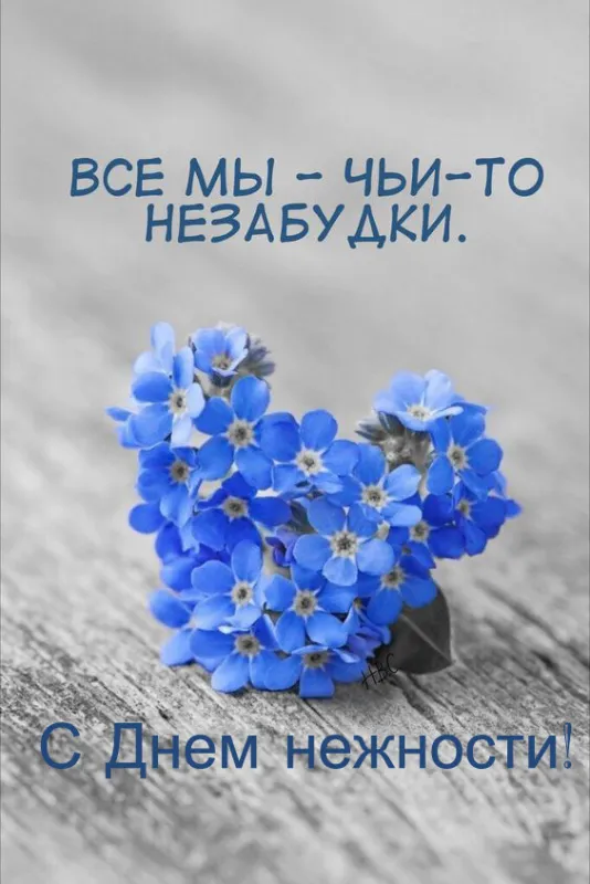 Красивые картинки с Днем нежности. День нежности - красивые картинки с пожеланиями