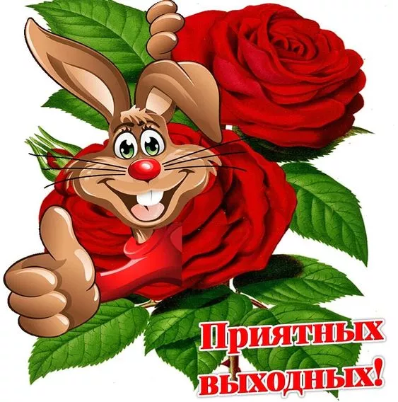 Картинки "Хороших выходных". Хороших выходных прикольные и смешные картинки