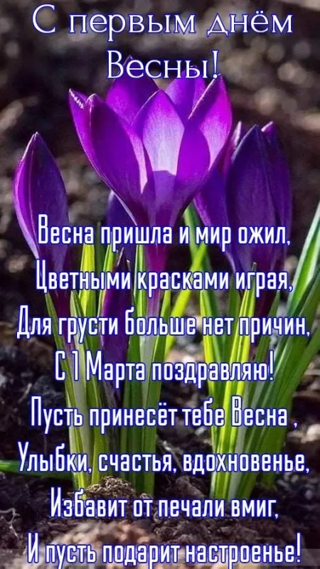 Картинки с Первым днем весны. С Первым днем весны: картинки с пожеланиями