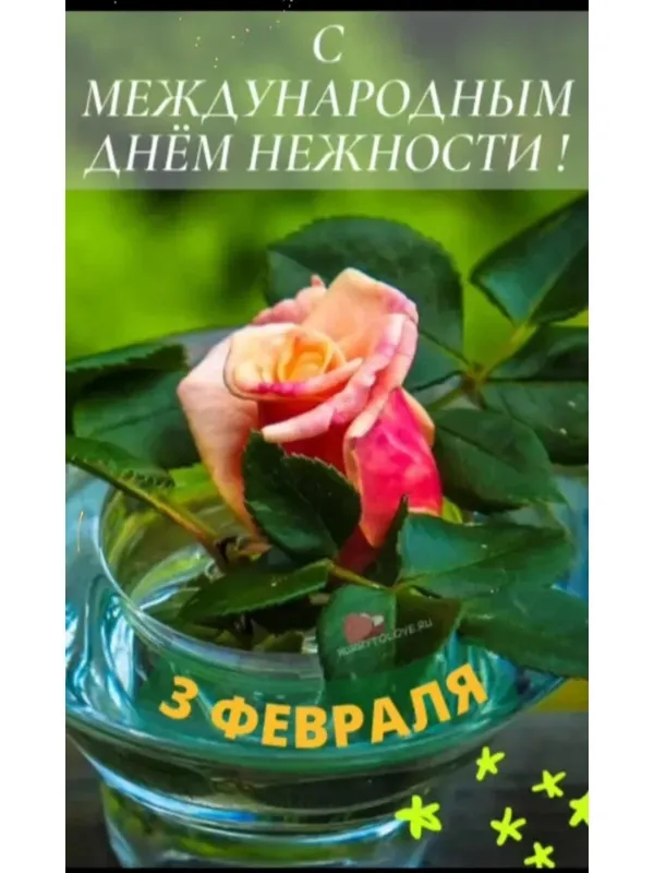 Красивые картинки с Днем нежности. Красивые картинки С Днем нежности с надписями