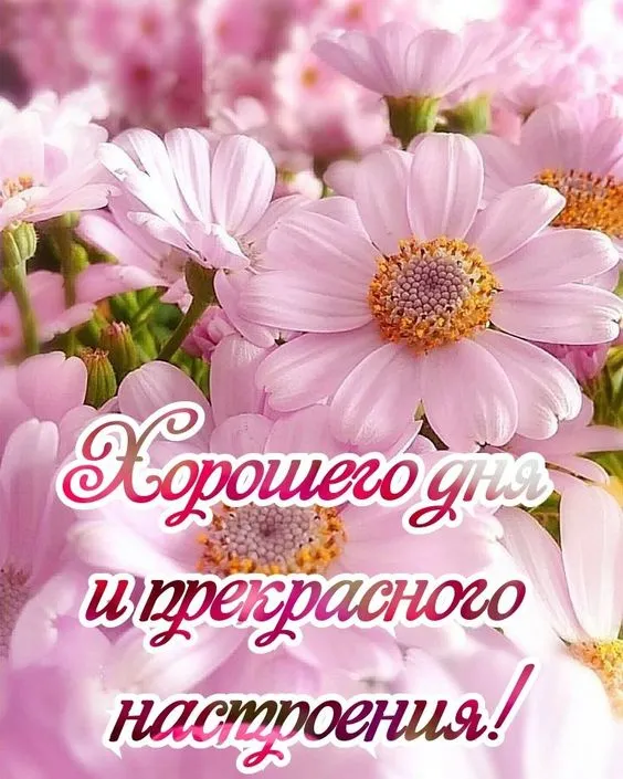 Картинки с Праздником хорошего настроения. С Праздником хорошего настроения: красивые открытки