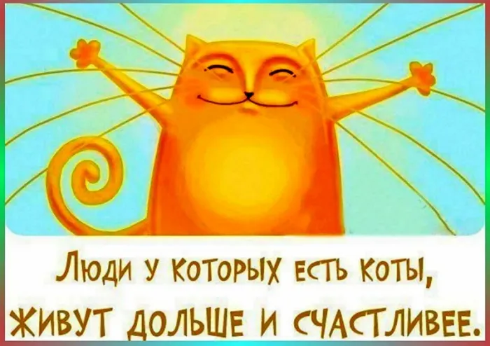 Красивые картинки с Днем кошек. Картинки с Днём кошек прикольные