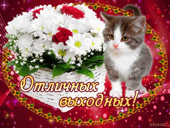 Картинки "Хороших выходных". Картинки Хороших выходных: красивые и новые