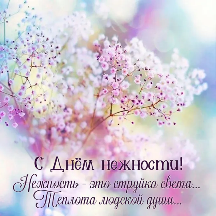 Красивые картинки с Днем нежности. День нежности - красивые картинки с пожеланиями