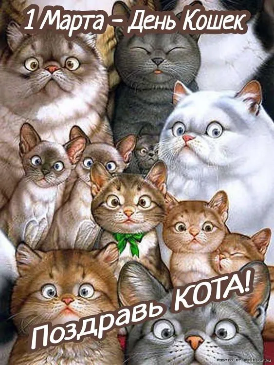 Красивые картинки с Днем кошек. Картинки с Днём кошек прикольные