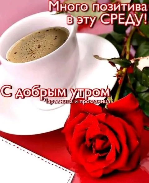 Картинки "Доброе утро среды". Красивые картинки с Добрым утром среды