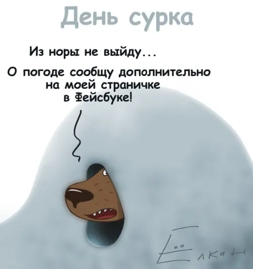 Картинки с Днем сурка. Картинки День сурка: прикольные и смешные