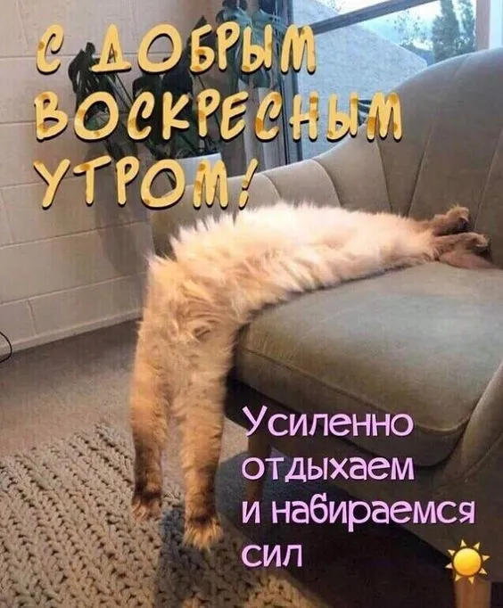 Красивые картинки с Добрым утром воскресенья. Доброе утро, воскресенье - картинки с пожеланиями