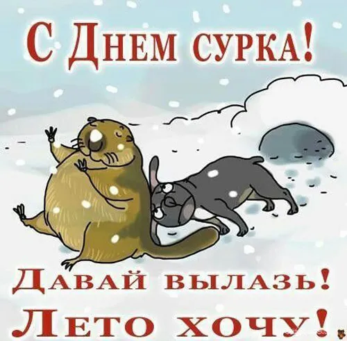 Картинки с Днем сурка. Картинки День сурка: прикольные и смешные