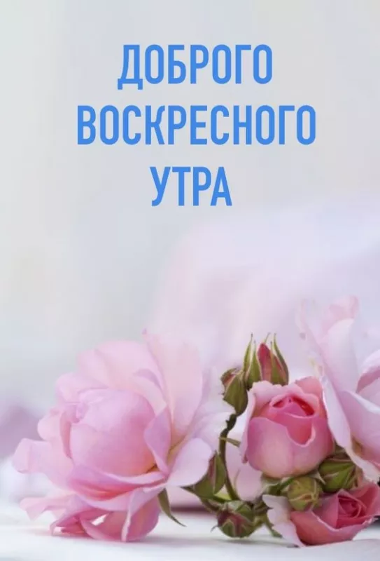 Красивые картинки с Добрым утром воскресенья. Красивые картинки Доброе утро воскресенья