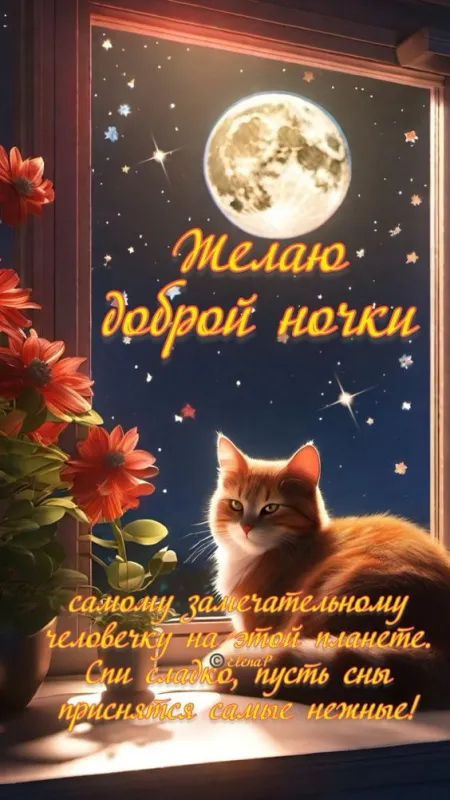 Красивые картинки Доброй ночи. Доброй ночи: картинки с пожеланиями