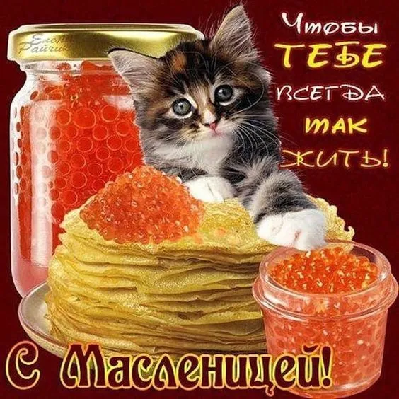 Красивые и прикольные картинки с Масленицей. Прикольные картинки на Масленицу