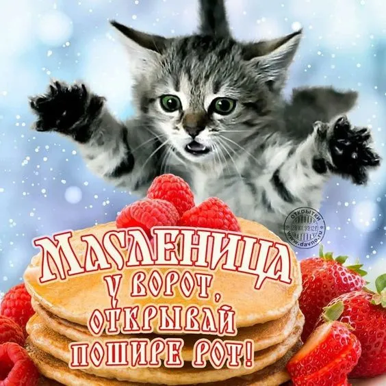 Красивые и прикольные картинки с Масленицей. С Началом Масленицы картинки — красивые и прикольные