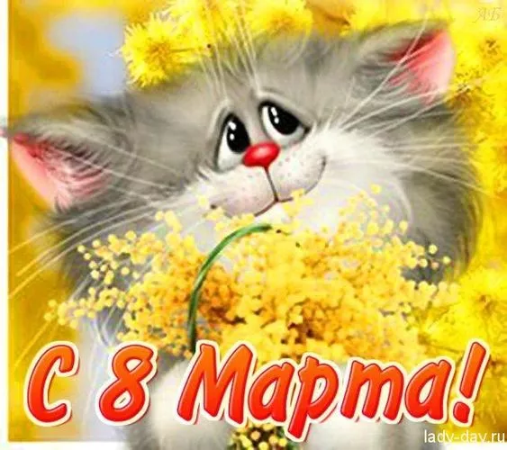 Красивые и прикольные картинки с 8 Марта . Картинки с 8 Марта — прикольные и необычные