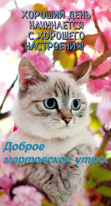 Красивые картинки Доброе мартовское утро. Красивые картинки Доброе мартовское утро