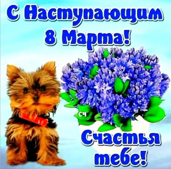 Картинки с наступающим 8 Марта (красивые и прикольные). С наступающим 8 Марта — красивые картинки с пожеланиями