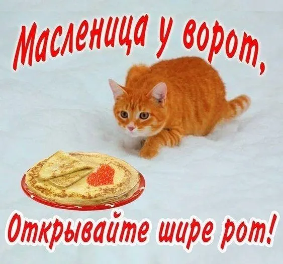 Красивые и прикольные картинки с Масленицей. С Началом Масленицы картинки — красивые и прикольные