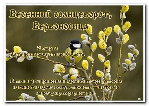 Картинки с Днем весеннего равноденствия. Красивые картинки на Весенний солнцеворот