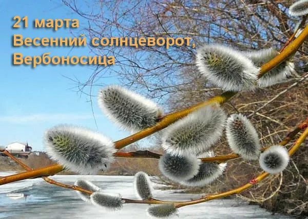Картинки с Днем весеннего равноденствия. Красивые картинки на Весенний солнцеворот