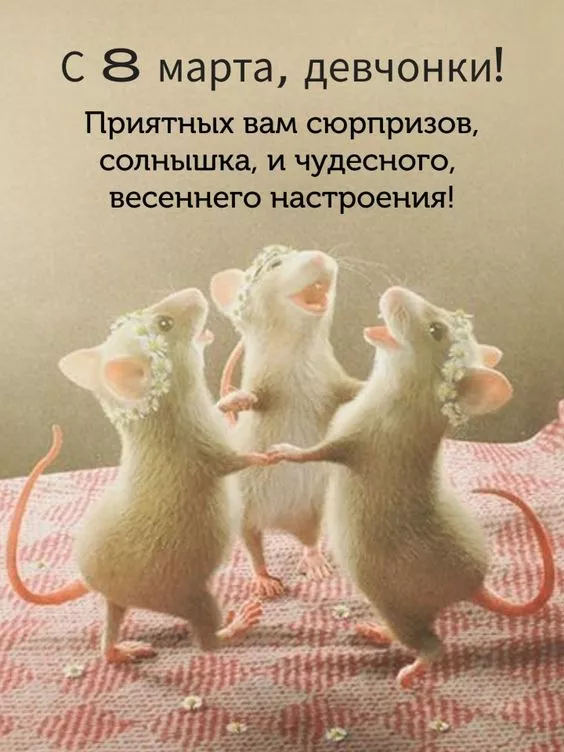 Красивые картинки на 8 марта коллегам. С Днем 8 марта — прикольные картинки коллегам