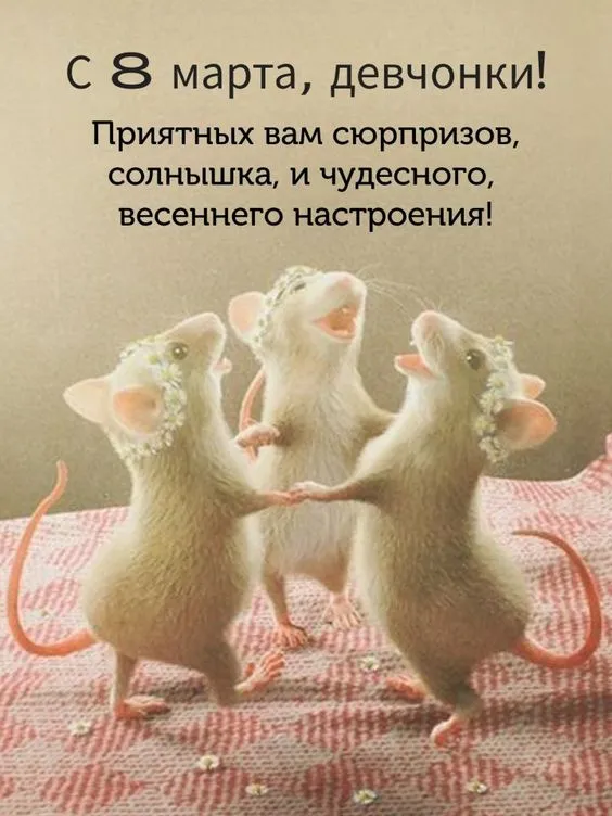 Красивые картинки на 8 марта коллегам. С Днем 8 марта — прикольные картинки коллегам