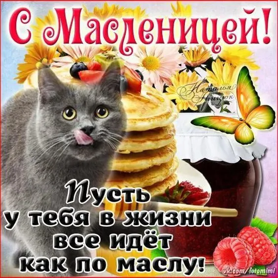 Красивые и прикольные картинки с Масленицей. Прикольные картинки на Масленицу