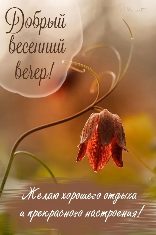 Добрый весенний вечер — красивые картинки. Весенние картинки Добрый вечер с пожеланиями&nbsp;